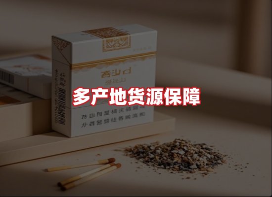 专业团队